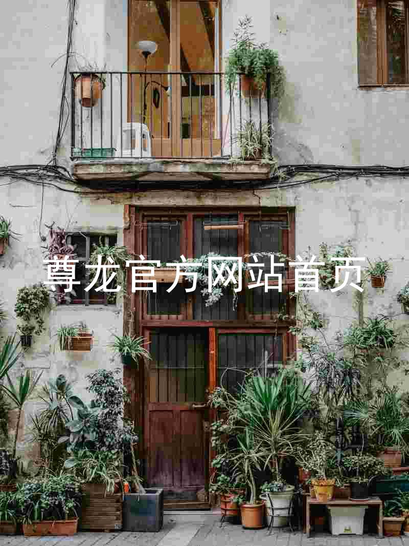尊龙官方网站首页