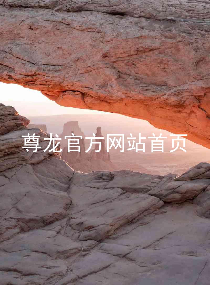 尊龙官方网站首页