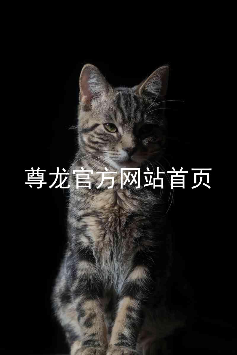 尊龙官方网站首页