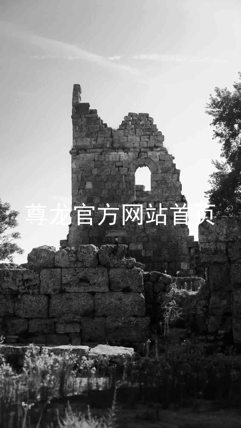 尊龙官方网站首页