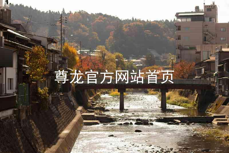 尊龙官方网站首页