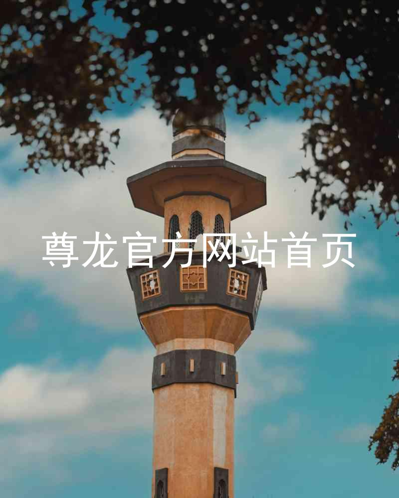 尊龙官方网站首页